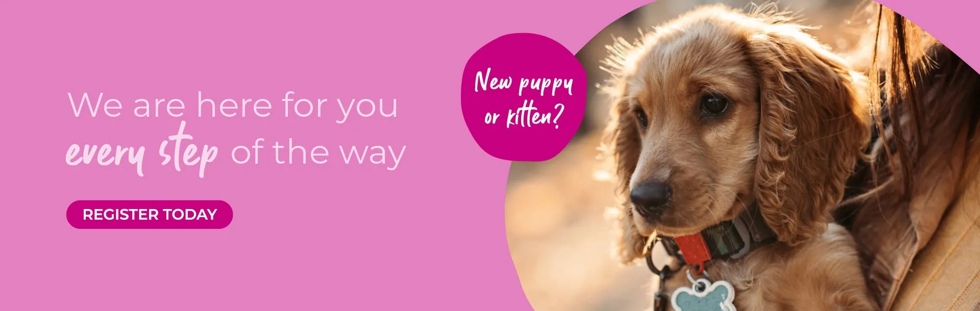 Hawick Vets | Small Animal Vet | Farm Vets | Equine Vets