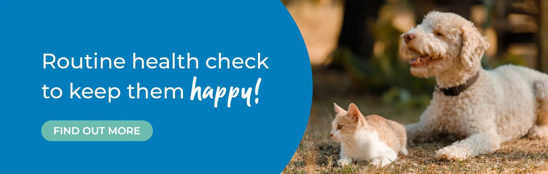 Hawick Vets | Small Animal Vet | Farm Vets | Equine Vets